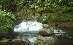 Habana River Lodge And Sanctuary