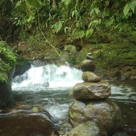 Habana River Lodge And Sanctuary La Fortuna Exterior foto