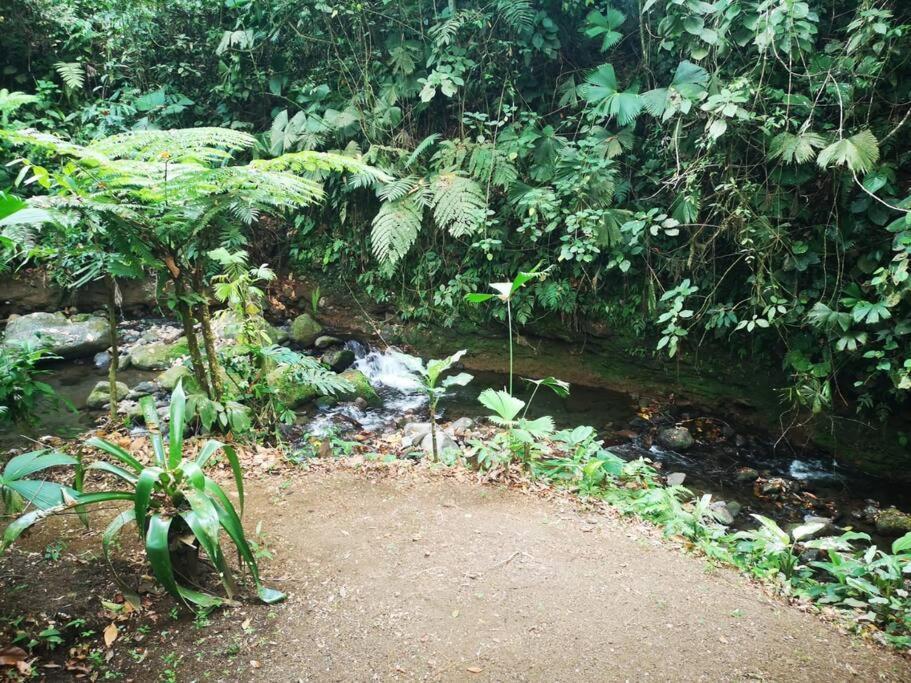 Habana River Lodge And Sanctuary La Fortuna Exterior foto