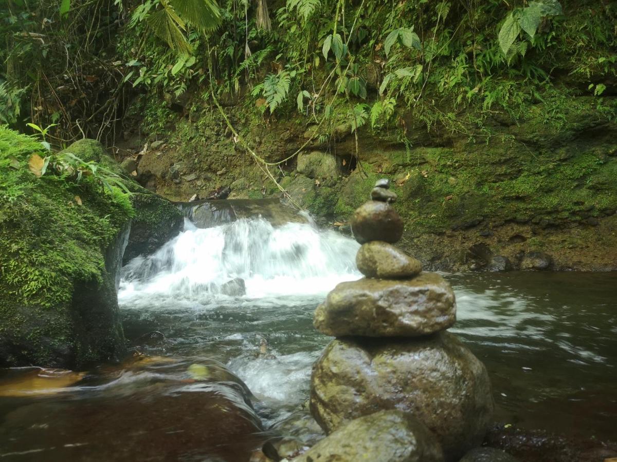 Habana River Lodge And Sanctuary La Fortuna Exterior foto